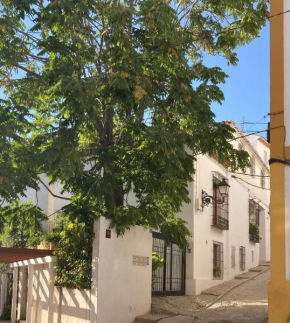 La Casa y el Patio